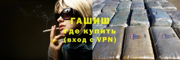 гашик Алексин