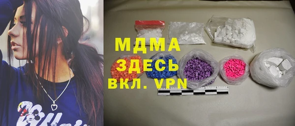 гашик Алексин