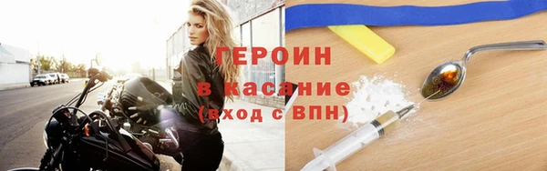 гашик Алексин