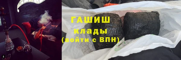 гашик Алексин
