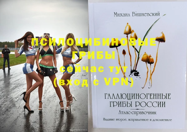 дмт Абинск