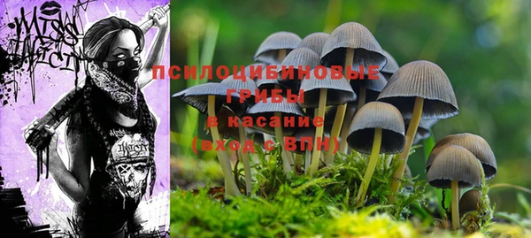 соль ск Алзамай