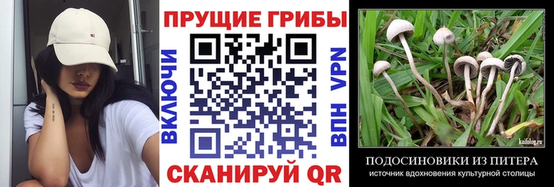 Псилоцибиновые грибы ЛСД  Звенигород 