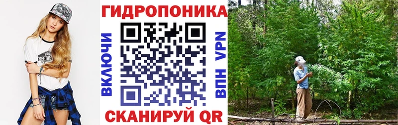 Шишки марихуана ГИДРОПОН  что такое   Звенигород 